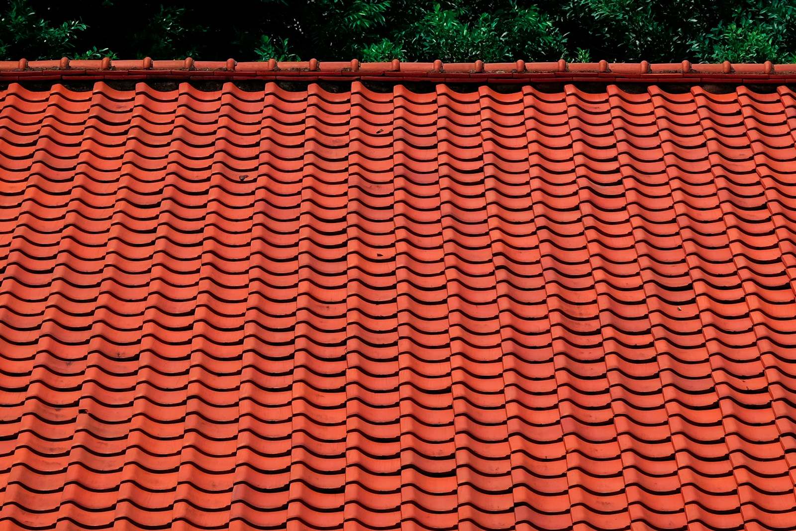 Groot rood pannendak voor een rij bomen